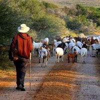 Waterval Farmstay