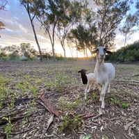 Waterval Farmstay